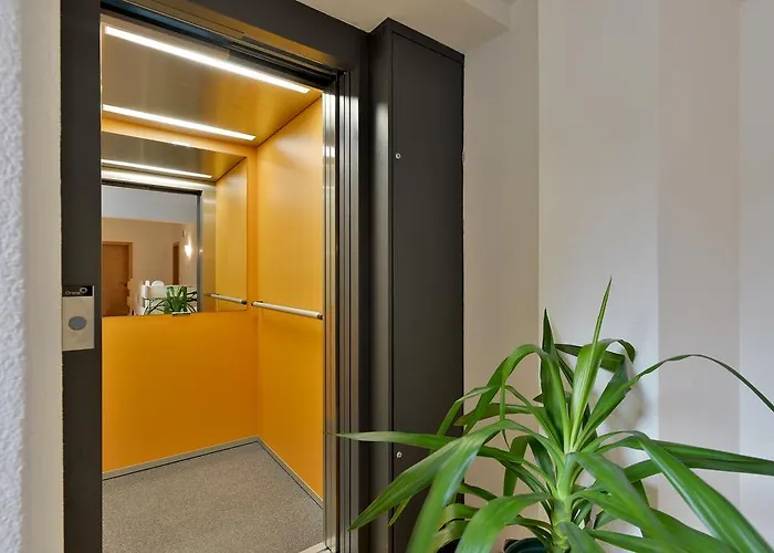 Fuchs Ferdinand * エルマウ